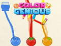 Hra Color Genious