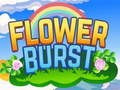 Hra Flower Burst