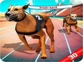 Hra Crazy Dog Race