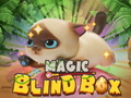 Hra Magic Blind Box