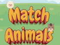 Hra Match Animals