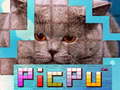 Hra PicPu Cat 