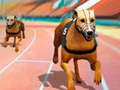 Hra Dogs3D Races