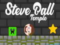 Hra Steve Ball Temple