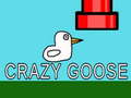 Hra Crazy Goose