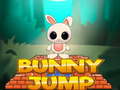 Hra Bunny Jump