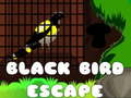 Hra Black Bird Escape