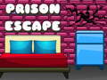 Hra G2M Prison Escape