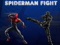 Hra Spiderman Fight