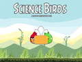 Hra Science Birds