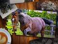 Hra Jigsaw Puzzle Horses Edition