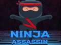 Hra Ninja Assassin