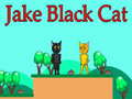 Hra Jake Black Cat