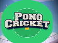 Hra Pong Cricket