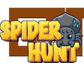Hra Spider Hunt