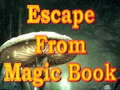 Hra Escape From Magic Book