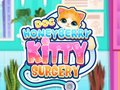 Hra Doc HoneyBerry Kitty Surgery