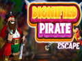 Hra Dignified Pirate Escape