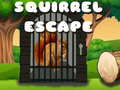 Hra Squirrel Escape