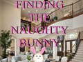 Hra Finding The Naughty Bunny