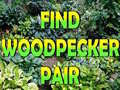Hra Find Woodpecker Pair 