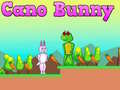 Hra Cano Bunny