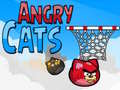 Hra Angry Cats