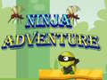 Hra Ninja Adventure
