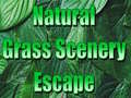 Hra Natural Grass Scenery Escape