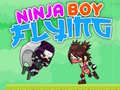 Hra Ninja Boy Flying