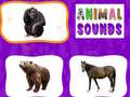 Hra Animal Sounds