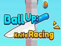 Hra Ball Up: Knife Racing 