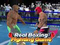 Hra Real Boxing Fighting Game