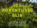 Hra Les Adventures Blin