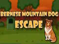 Hra Bernese Mountain Dog Escape