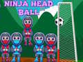 Hra Ninja Head Ball