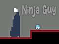 Hra Ninja Guy