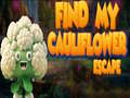 Hra Find By Cauliflower Escape 