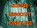 Hra Rescue Innocent Honey Bee 
