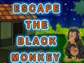 Hra Escape The Black Monkey