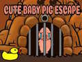 Hra Cute baby Pig escape