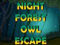 Hra Night Forest Owl Escape