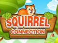 Hra Squirrel Connection