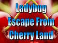 Hra Ladybug Escape From Cherry Land