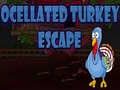 Hra Ocellated Turkey Escape