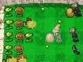 Hra Plants Vs Zombies DS