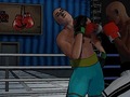 Hra Ultimate Boxing Showdown