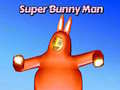 Hra Super Bunny Man