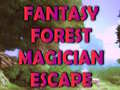 Hra Fantasy Forest Magician Escape