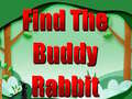 Hra Find The Buddy Rabbit